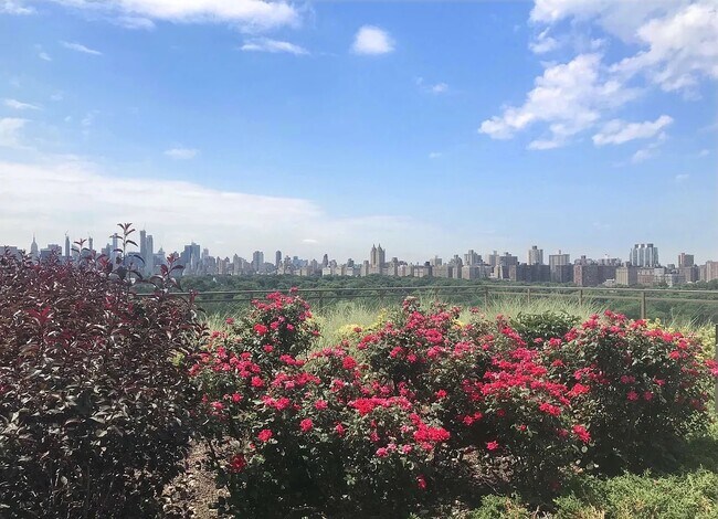 Building Photo - 1280 Fifth  apt. 15B