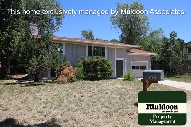 Building Photo - Lots Of New In this Home!!