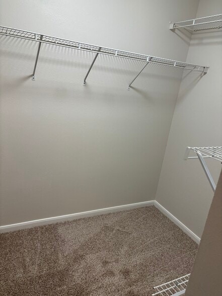 Master closet - 19110 Saddleville Mills Ln