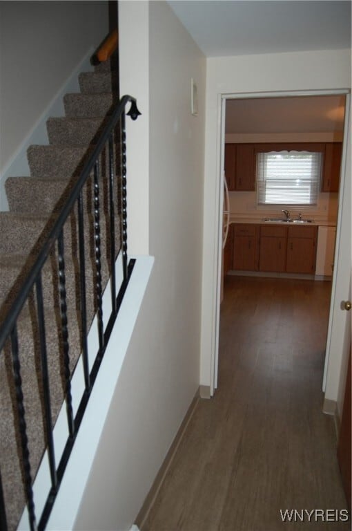 Building Photo - 59 Saber Ln