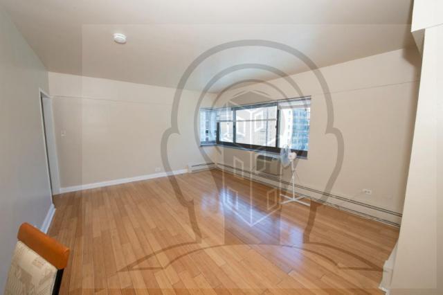 Building Photo - 1 bedroom in CHICAGO IL 60649