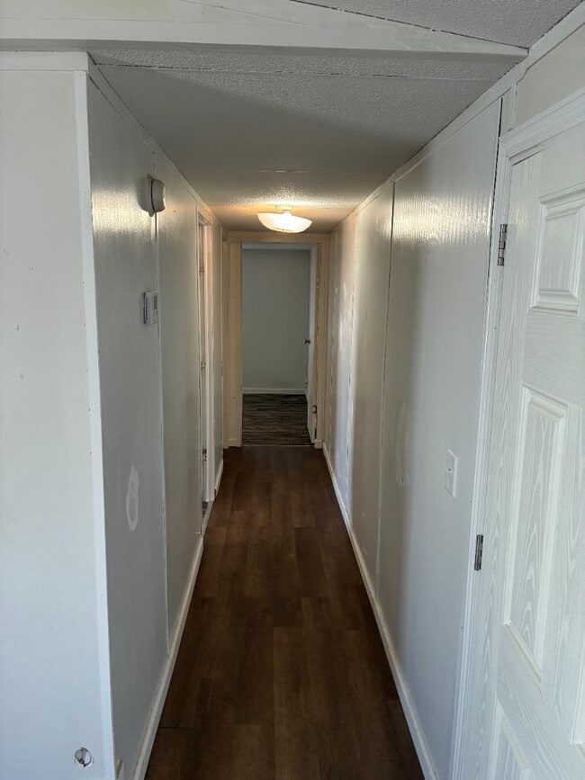 Building Photo - 2320 Wysteria Ln