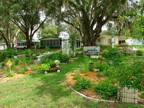 Primary Photo - Clover Leaf Farms