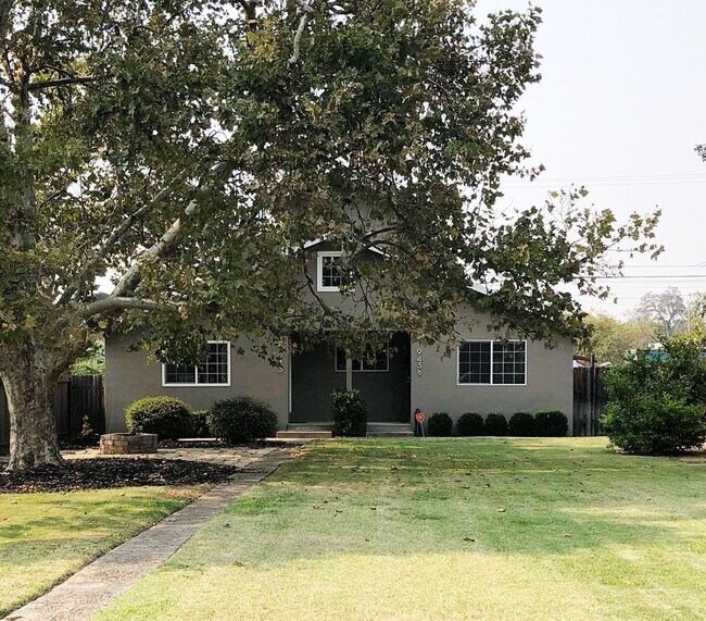 Primary Photo - 943 Shearer St