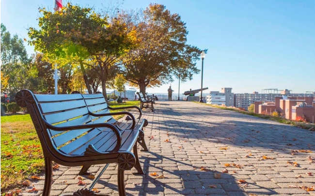 Building Photo - 1000 S Charles St