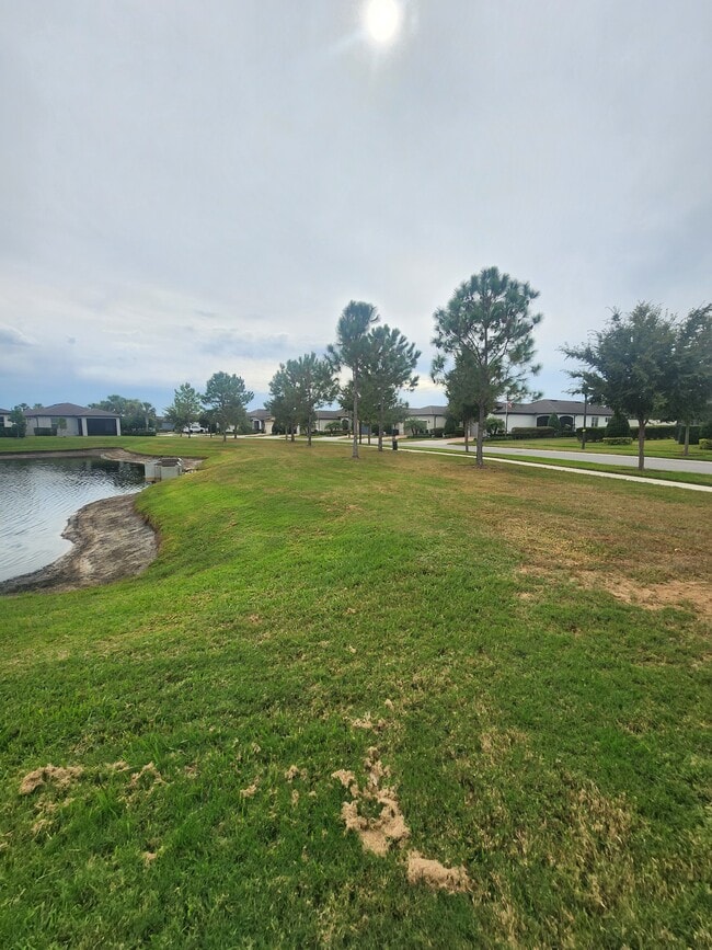 Building Photo - 18743 Coastal Shr Ter