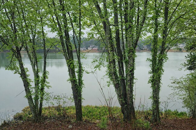 Building Photo - Lake Front Property. Loft - Swim/Tennis - Stainless Steel Appliances