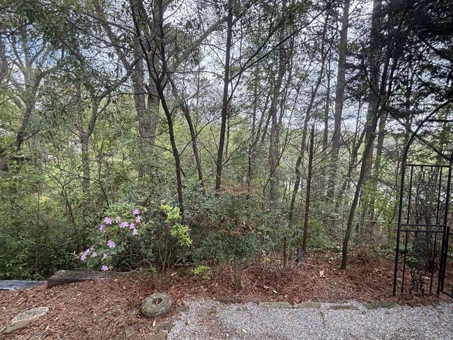 Building Photo - Spacious 3 Bed 2 Bath Home In Homewood With Large Basement