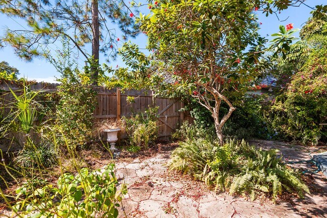 Building Photo - ST PETE APARTMENT FOR RENT!!