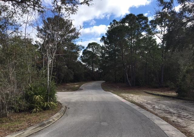 Building Photo - 1617 Ridge Dr