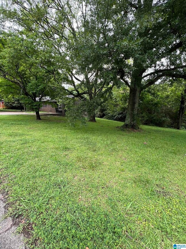 Building Photo - 905 Lynn Dale Ln