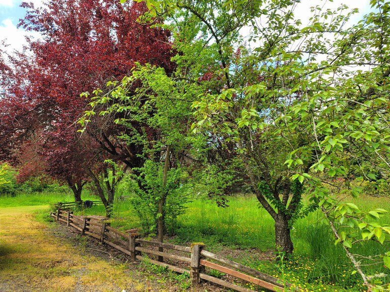 Building Photo - 11071 SE 242nd Ave