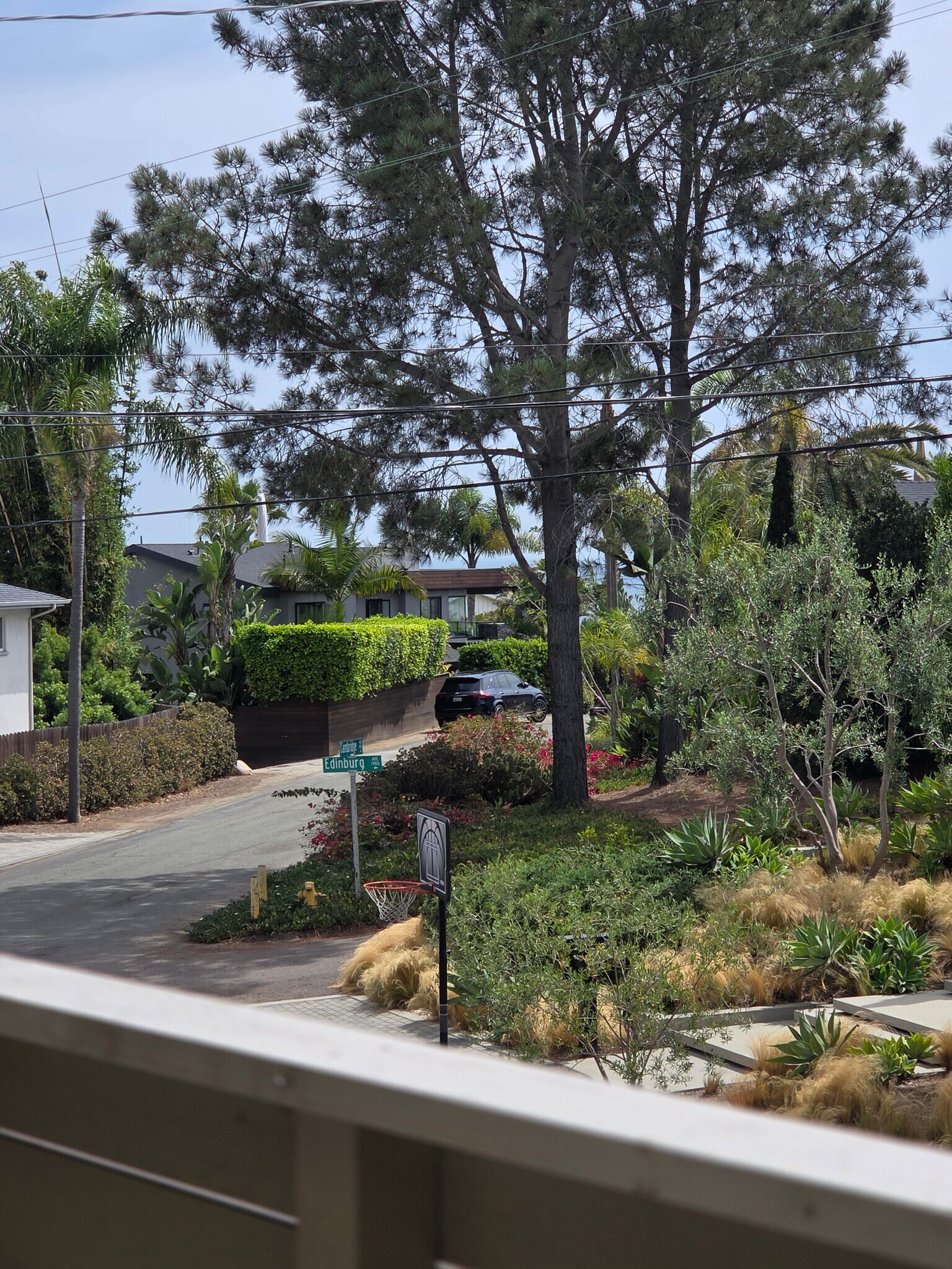 View from. Balcony - 1809 Cambridge Ave