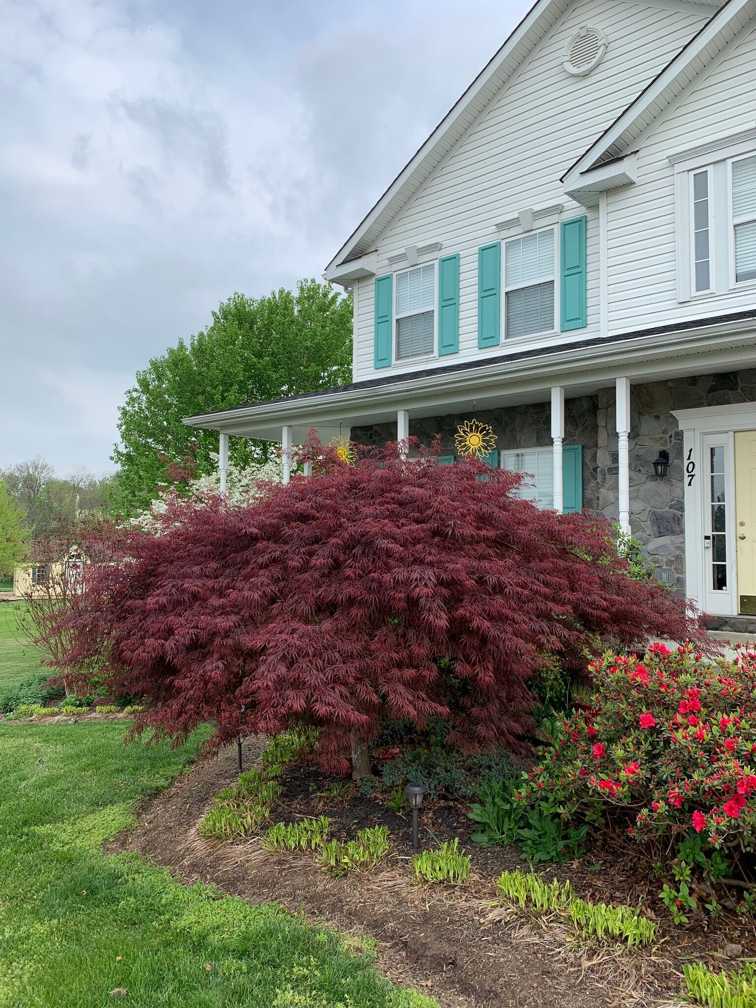 Building Photo - 107 Wheat Field Terrace