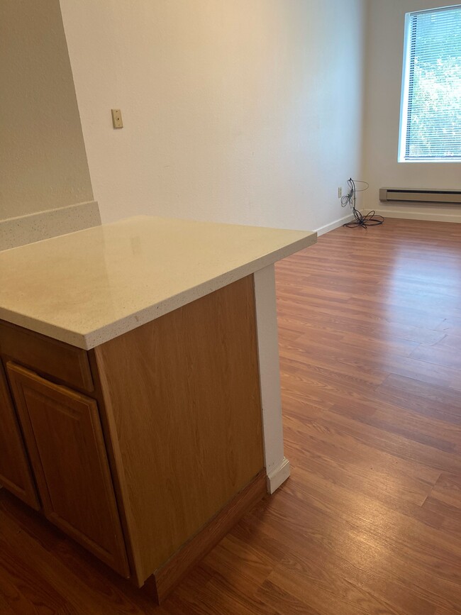 Kitchen counter - 417 Cabrillo St