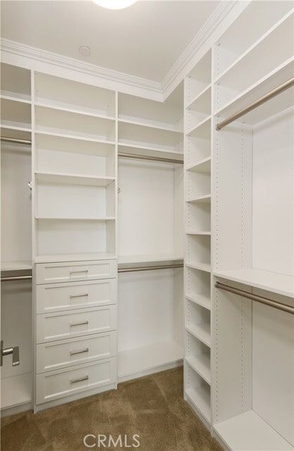 Building Photo - 18313 Maidenhair Wy