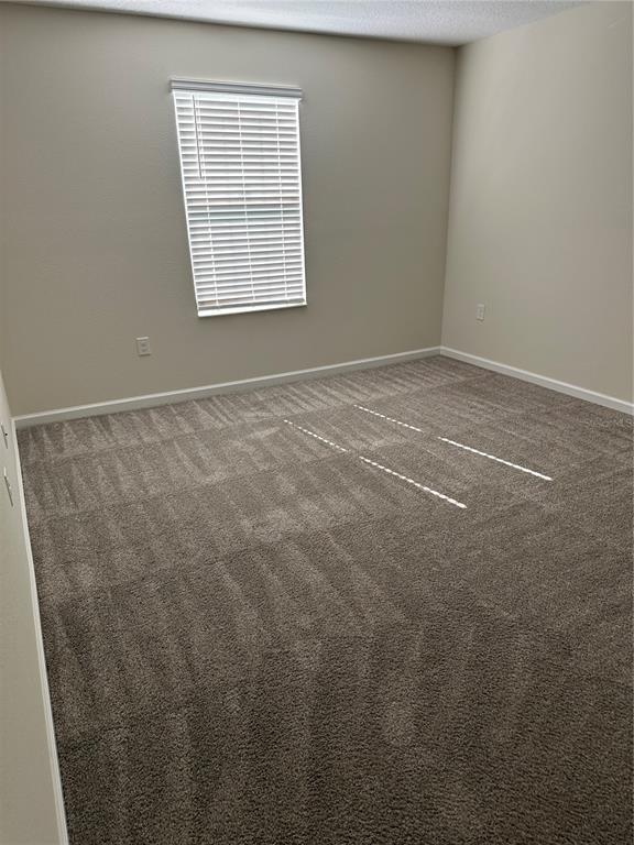 Building Photo - 4427 Blackbird St