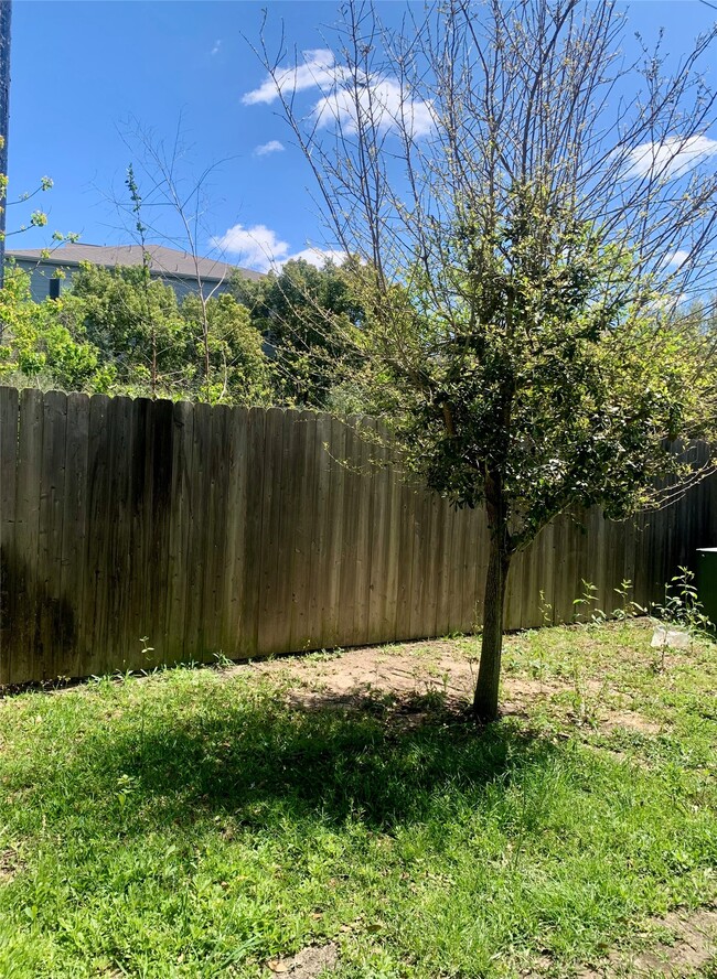 Building Photo - 10209 Las Nubes Ave