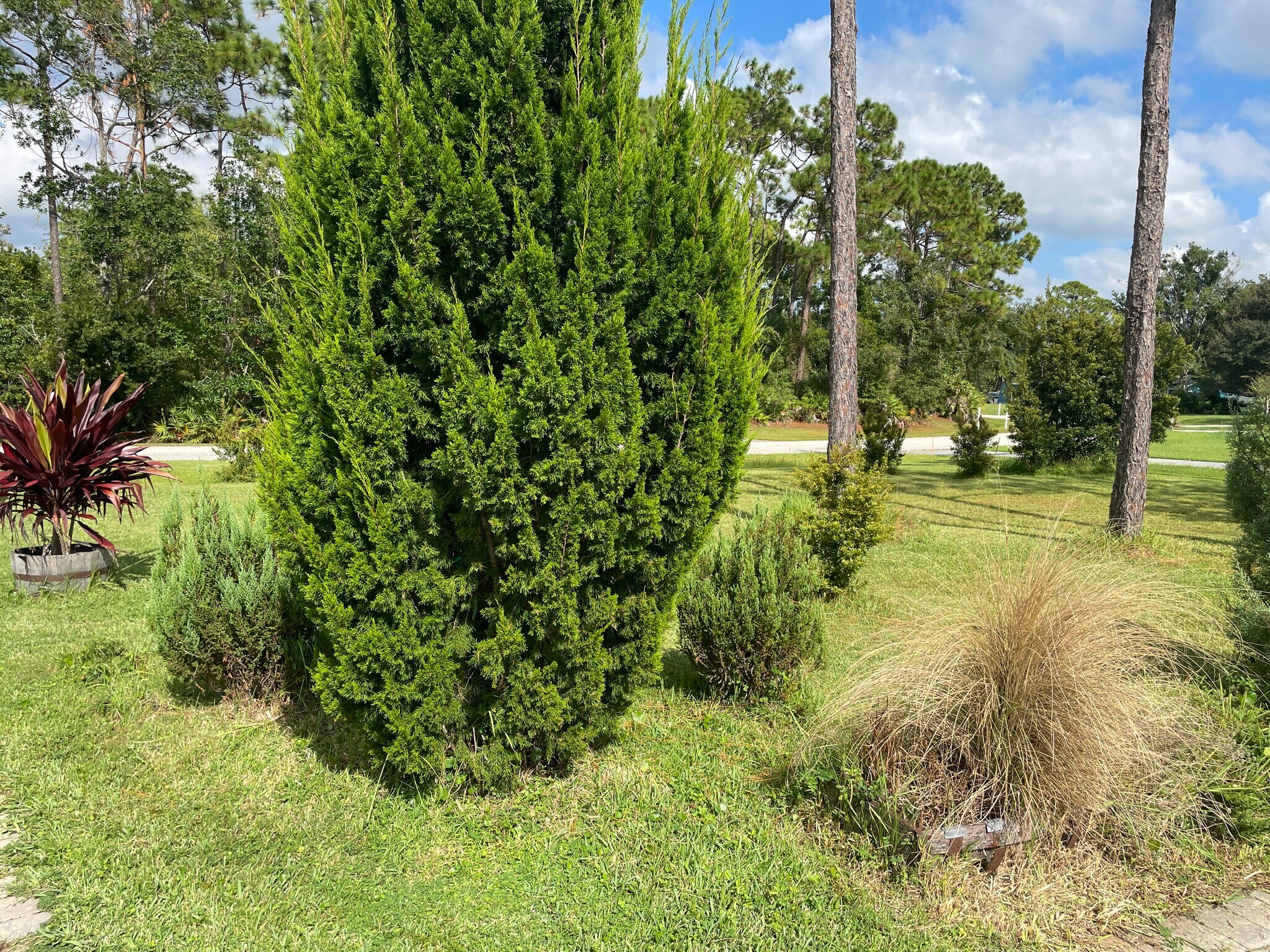 Building Photo - 213 Riverbend Rd