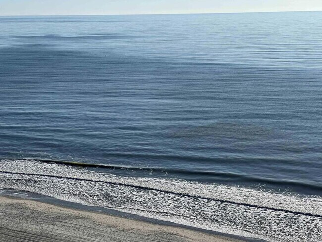 Building Photo - 2001 S Ocean Blvd