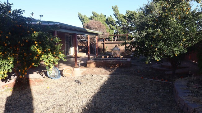 Building Photo - Spacious