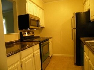 Building Photo - 101 Pine Forest Dr