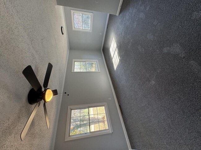 Building Photo - 102 Pine St