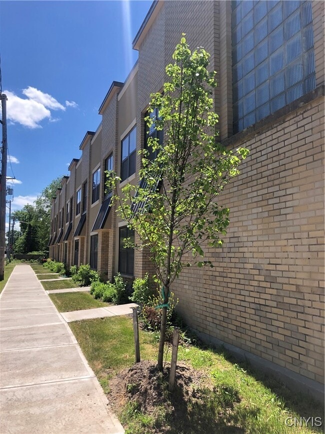 Building Photo - 224 Chapel St