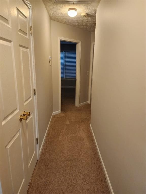 Building Photo - 6129 Brookechase Ln