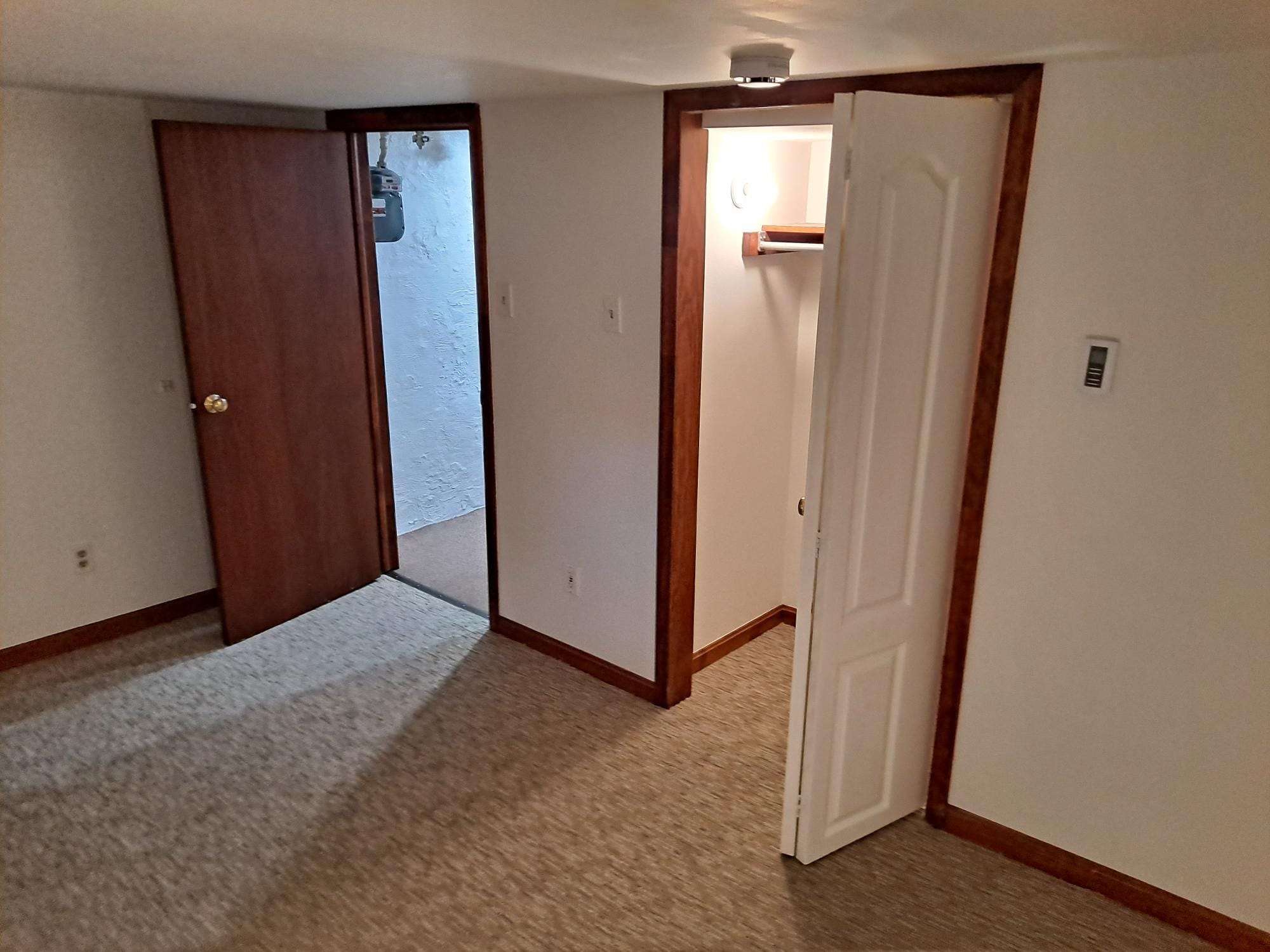 lower level bedroom - 837 W Liberty St