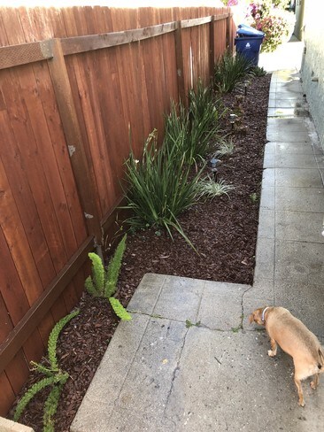side walk way - 1742 W 36th St