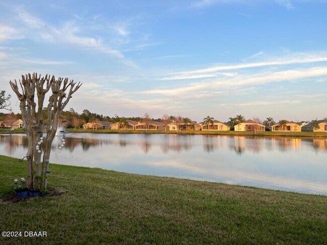 Building Photo - 1663 Areca Palm Dr