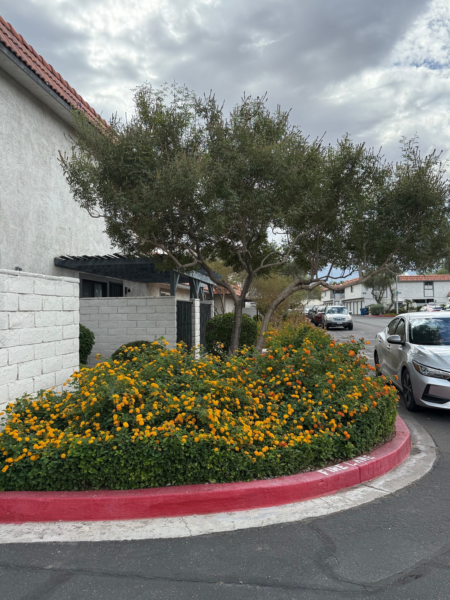 Building Photo - 925 Willow Tree Dr