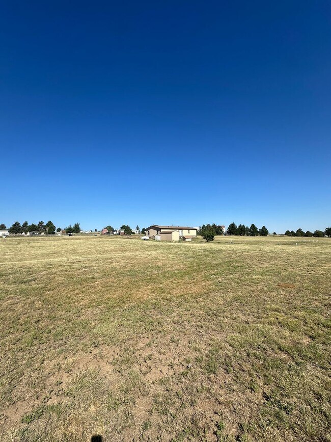 Building Photo - MODERN UPGRADES AND RURAL LIVING IN PEYTON
