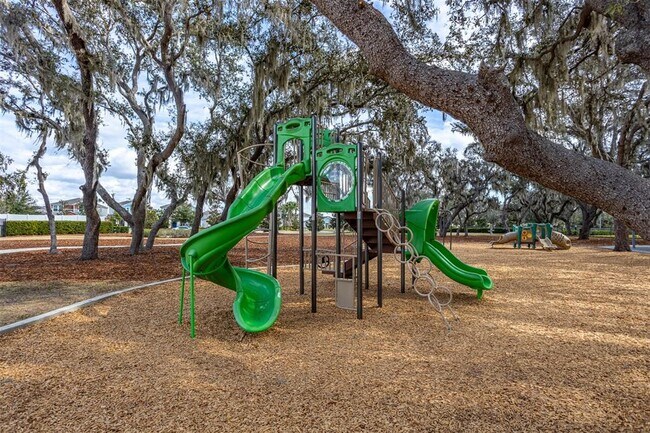 Building Photo - 12619 Hammock Park Dr