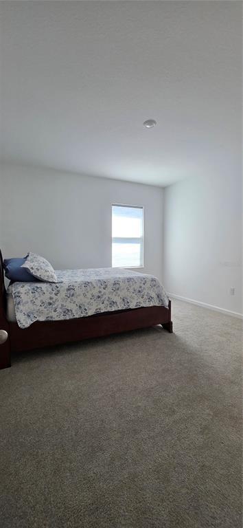 Building Photo - 299 Bottle Brush Dr