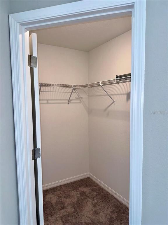 Building Photo - 3616 Bellmeade Ct