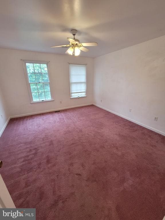 Building Photo - 2435 Pimpernel Dr