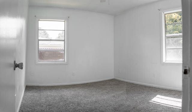 Building Photo - 4715 18th Ave