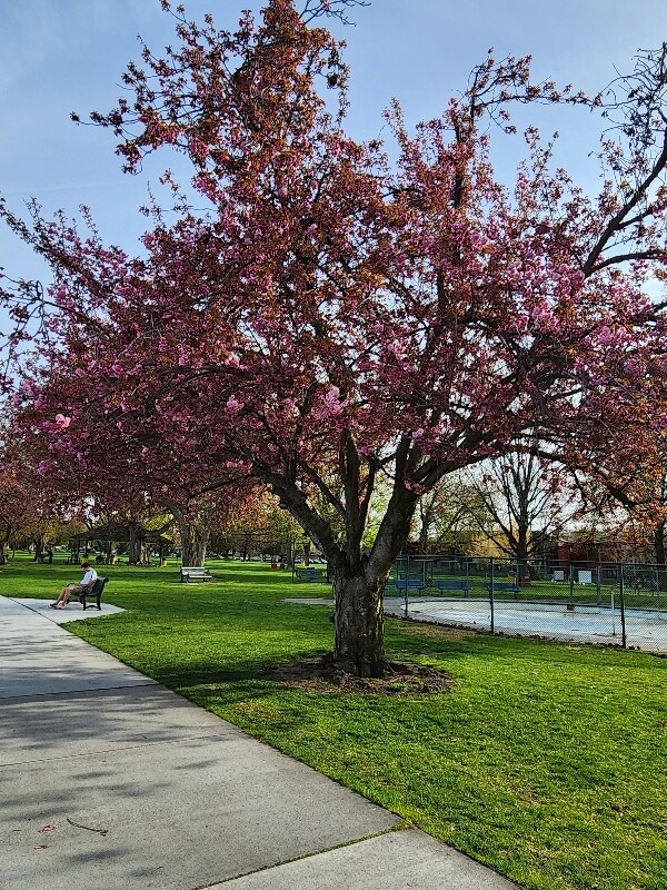 Building Photo - 710 Catskill St