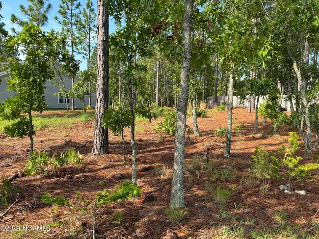 Building Photo - 1375 Whitney Dr