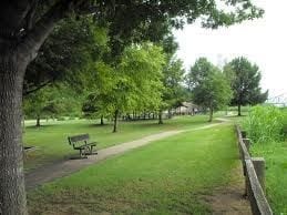 Building Photo - 320 Wolfe Street Unit C