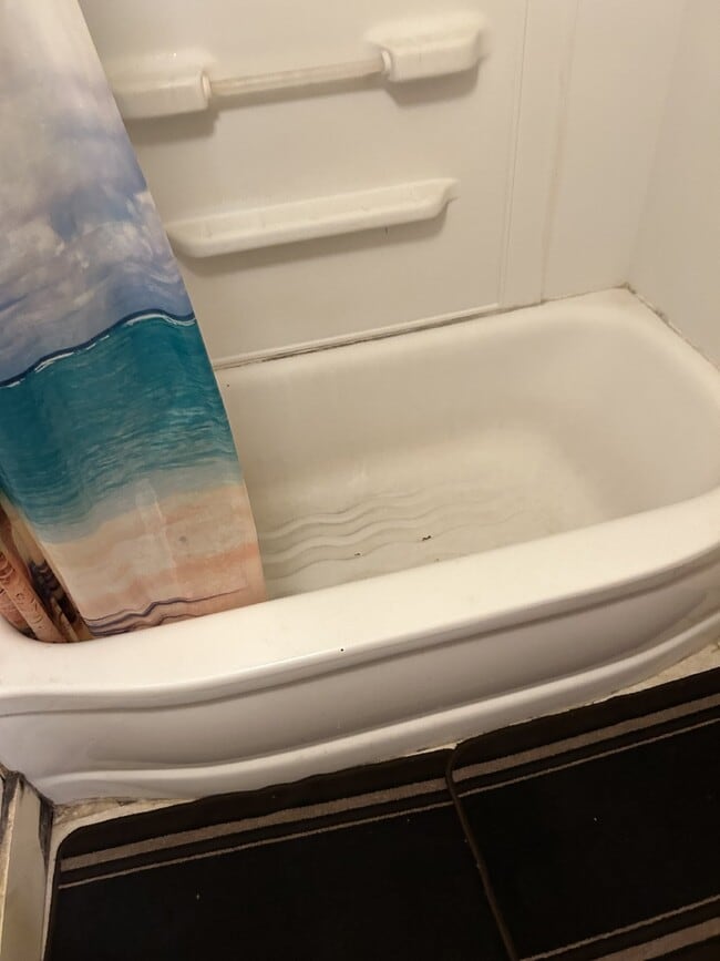 Building Photo - Welcome Home to Your Charming 1-Bedroom Apartment in Troy!