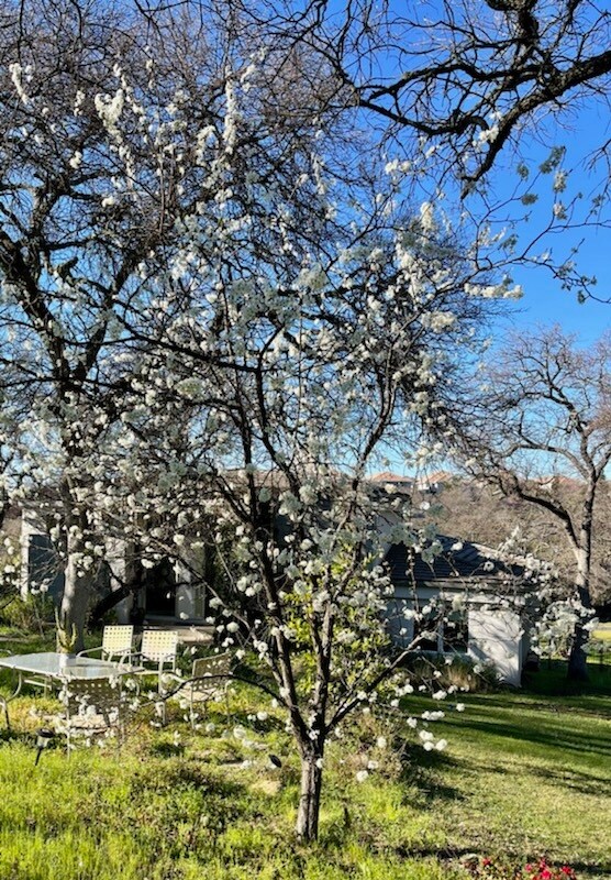 Building Photo - 108 Lost Oak Ct