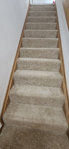 new carpet on stairs leading to basement - 890 Worthington Woods Blvd