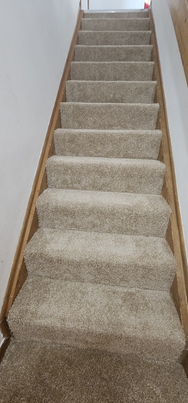 new carpet on stairs leading to basement - 890 Worthington Woods Blvd