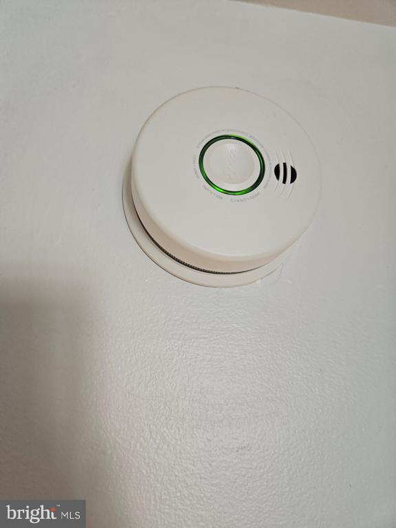 Building Photo - 803 Jeannette Ave