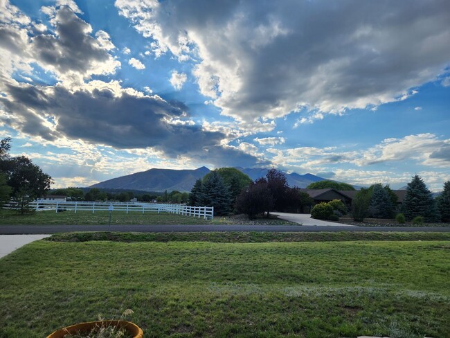 Primary Photo - Beautiful home in Hutchinson Acres