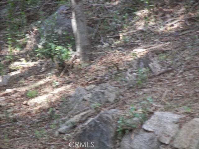 Building Photo - 21636 Sawpit Canyon Rd