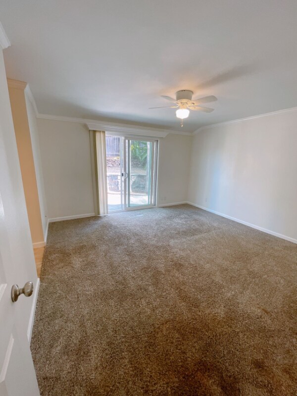Building Photo - 1336 El Camino Dr